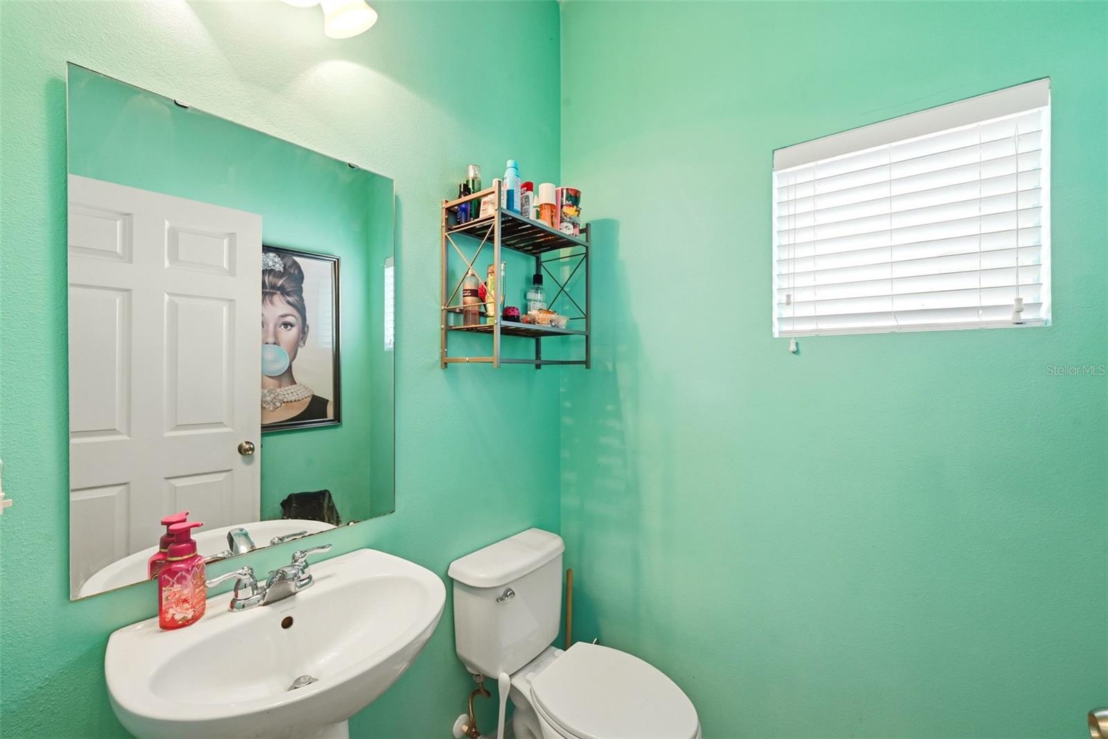 528 Rainbow Springs Loop Property Photo 21