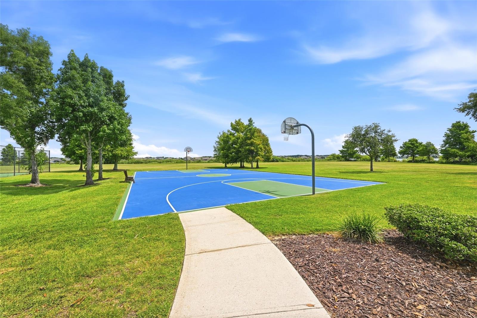 528 Rainbow Springs Loop Property Photo 43