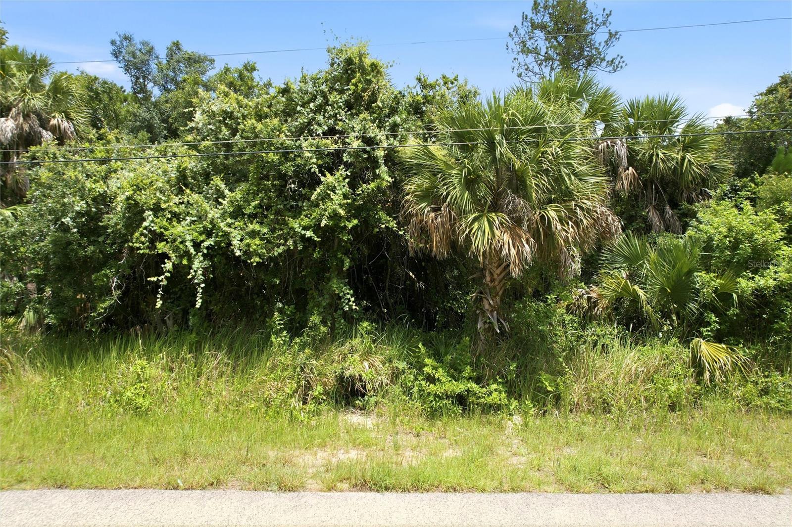 DERRICK ST Property Photo 1