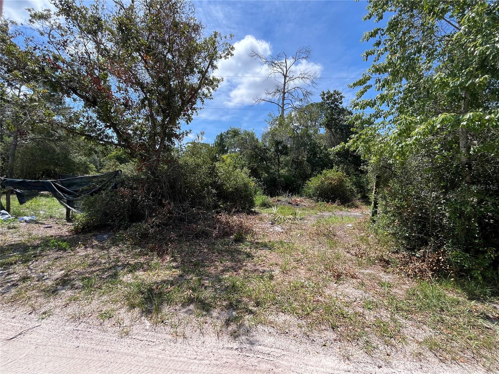 42334 W Lake Rd Property Photo 6