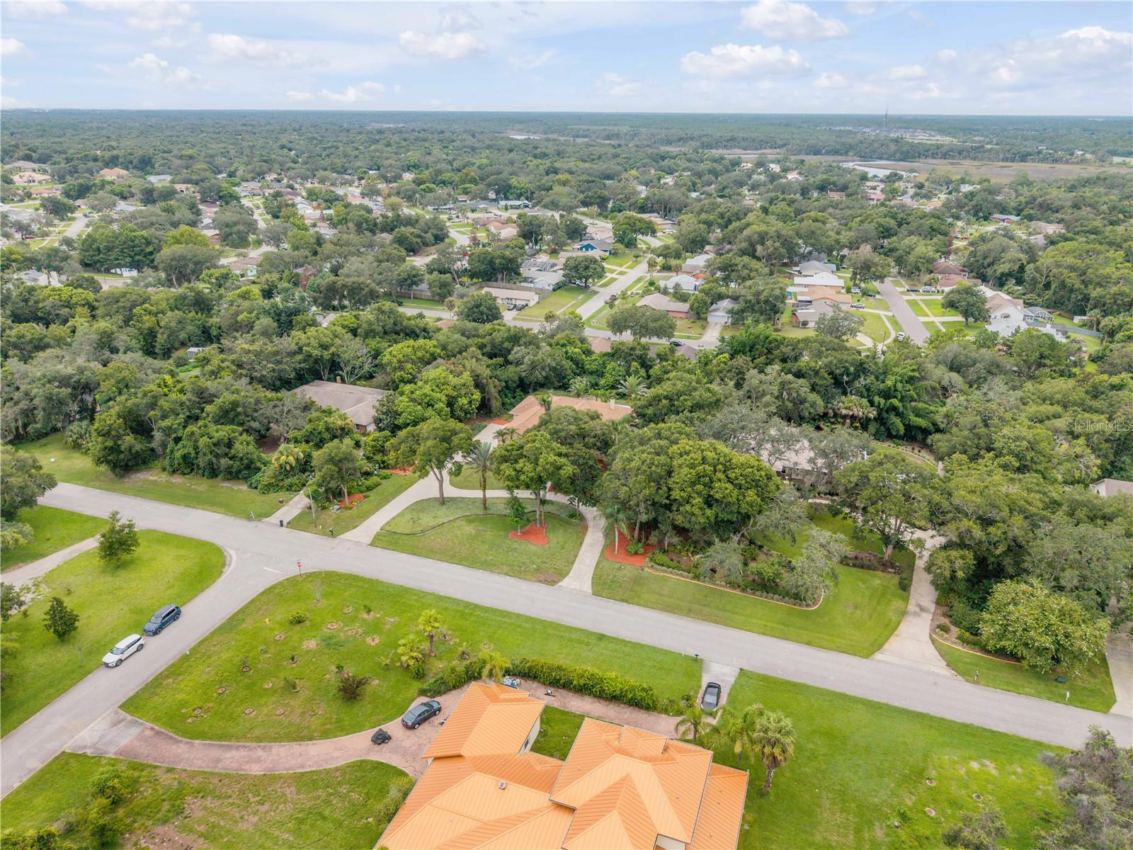 5842 Spruce Creek Woods Dr Property Photo 84