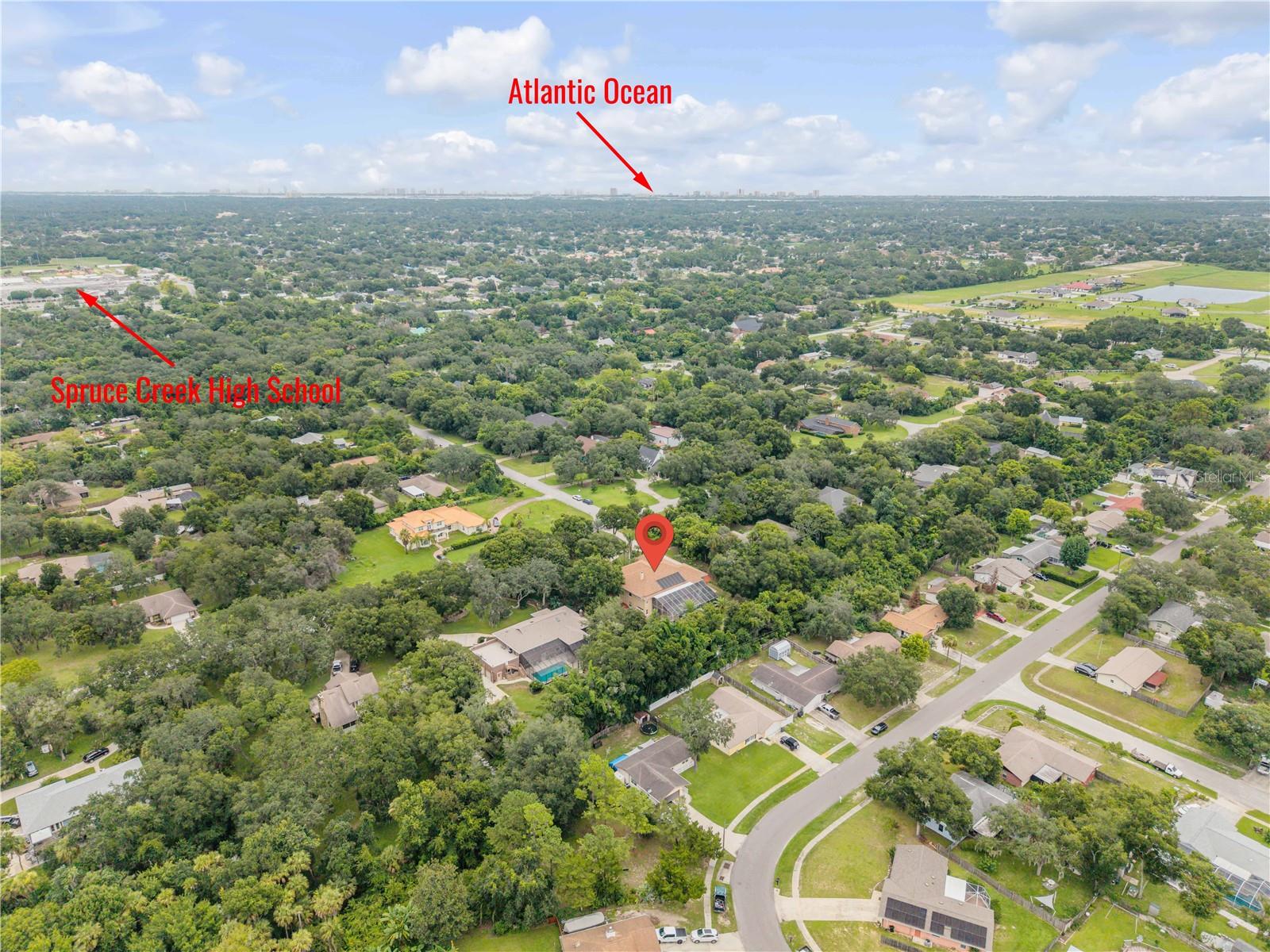 5842 Spruce Creek Woods Dr Property Photo 86