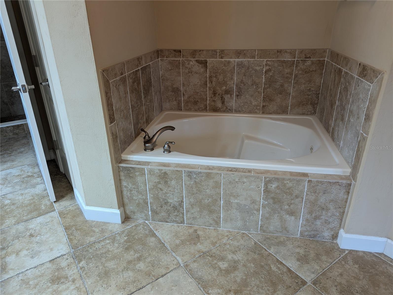 424 Luna Bella Ln #424 Property Photo 19