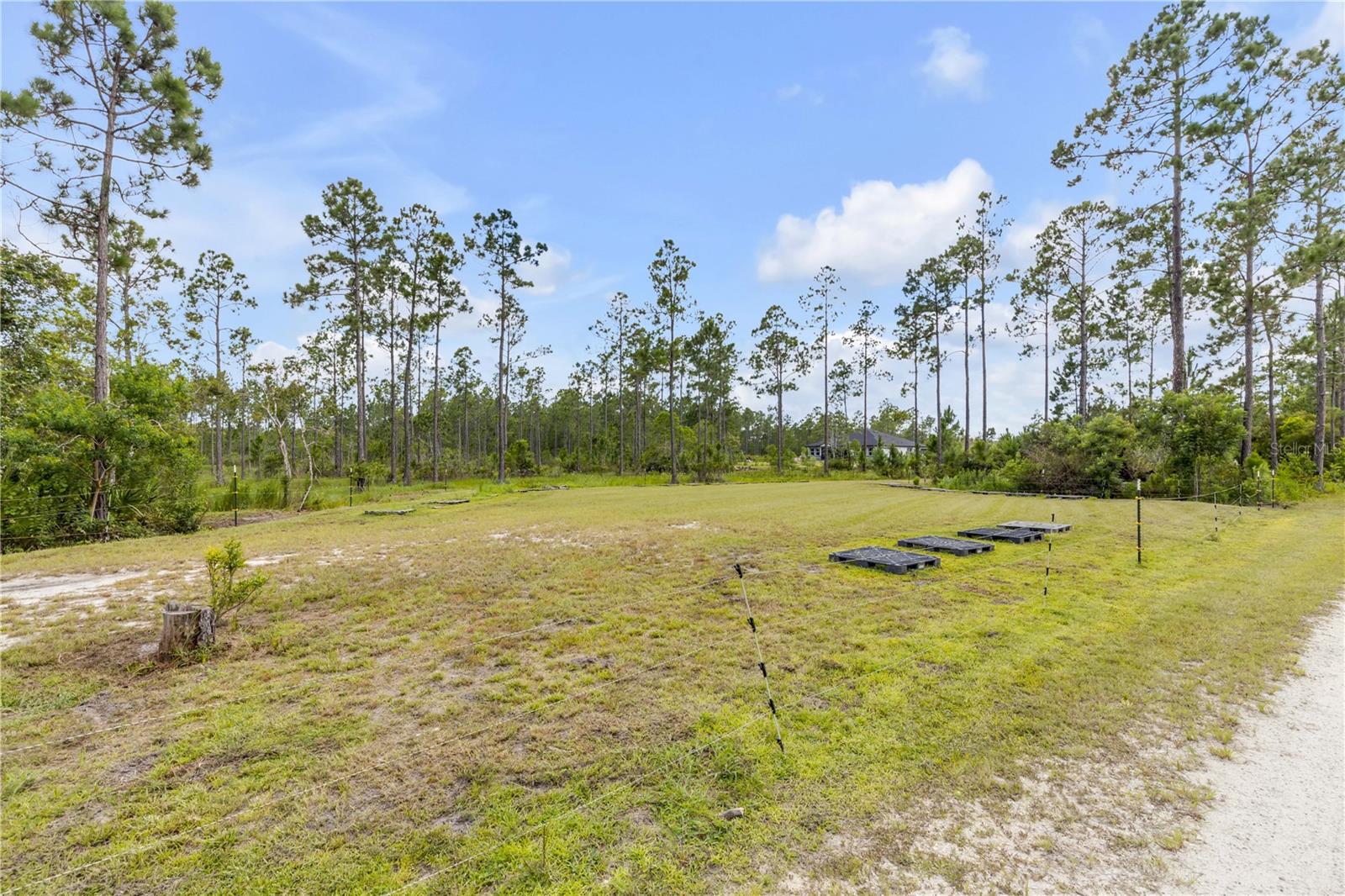 300 Omega Ranch Rd Property Photo 8