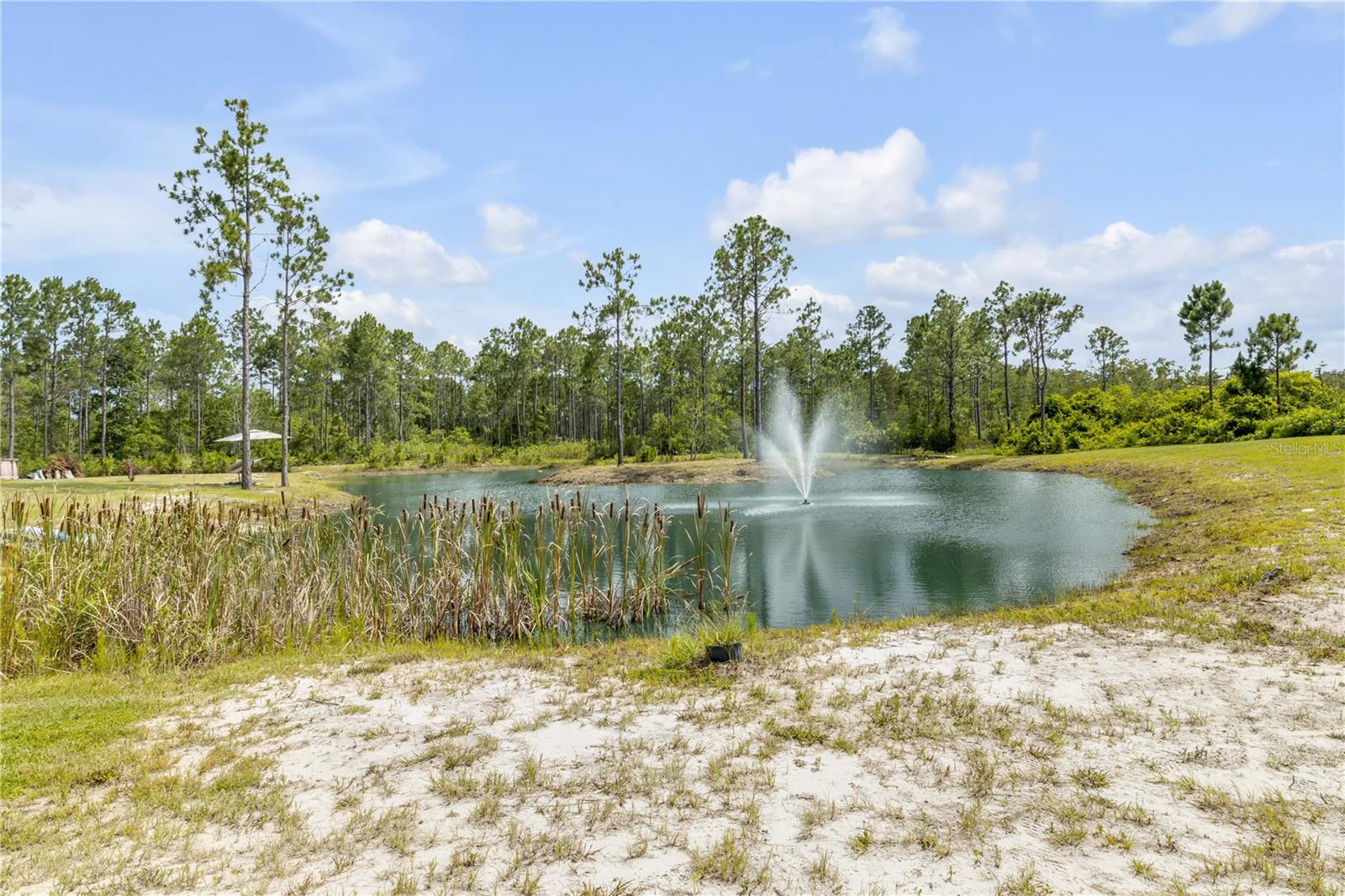 300 Omega Ranch Rd Property Photo 64