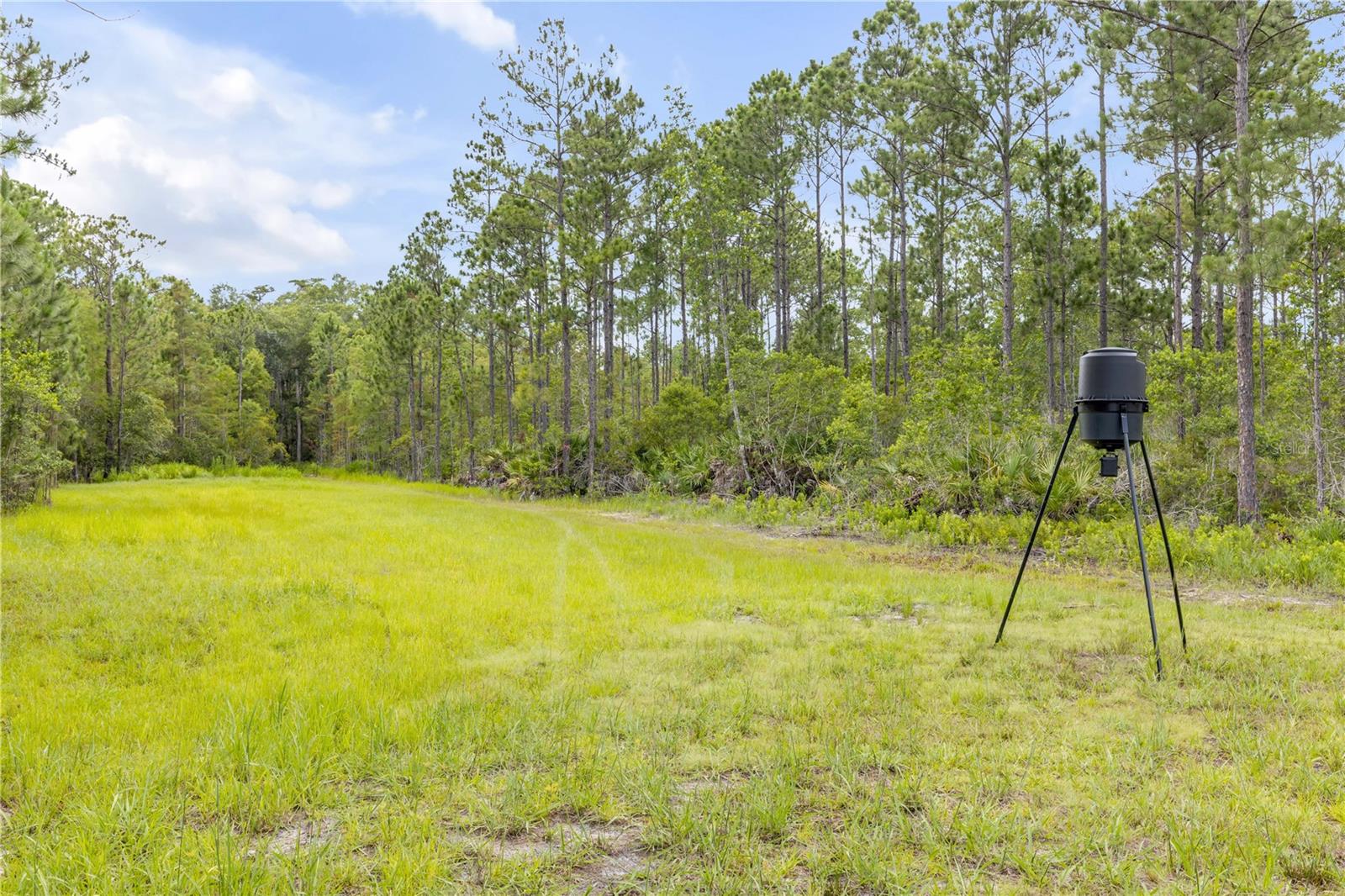 300 Omega Ranch Rd Property Photo 69