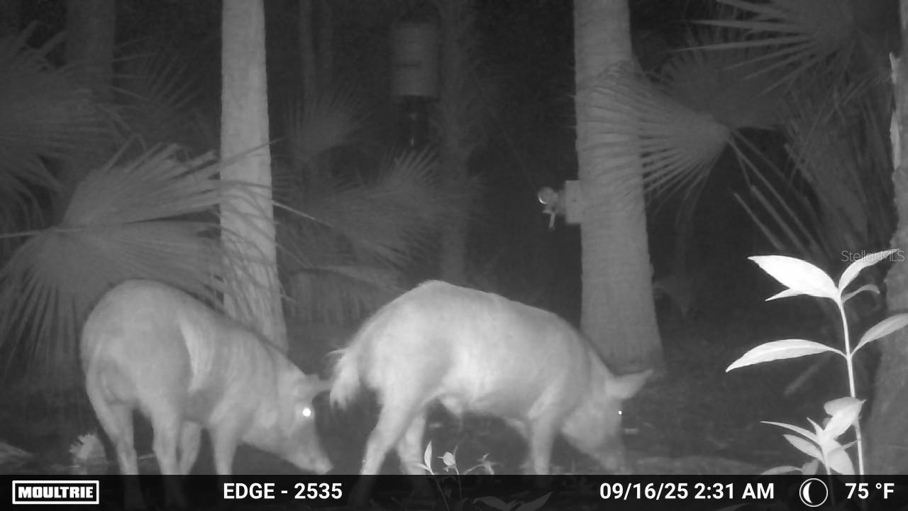 Volco Rd Property Photo 7