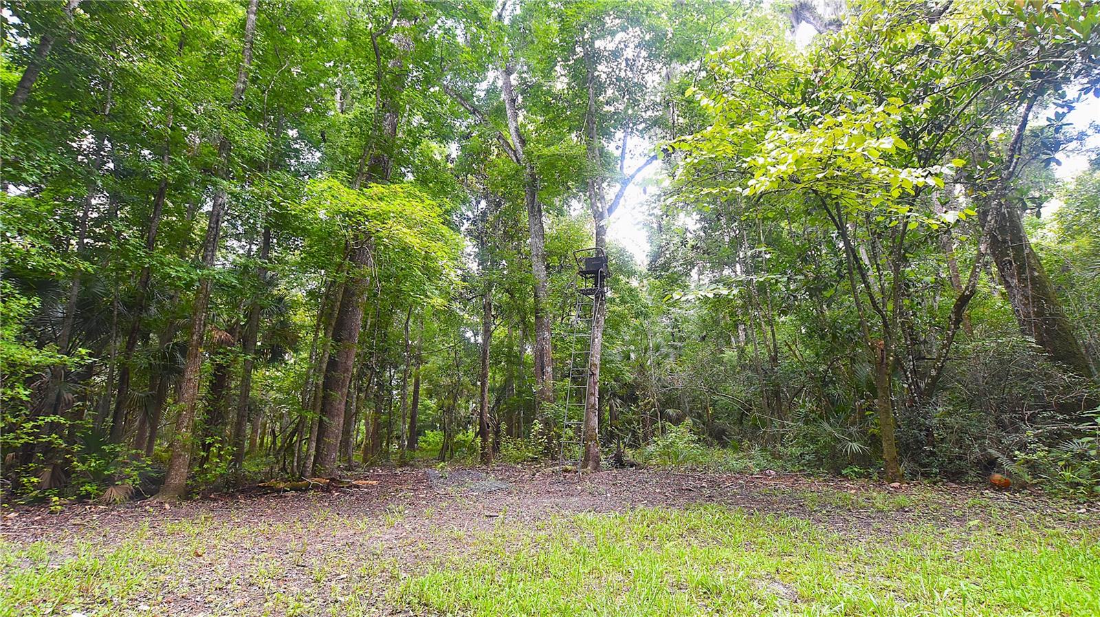 Volco Rd Property Photo 22