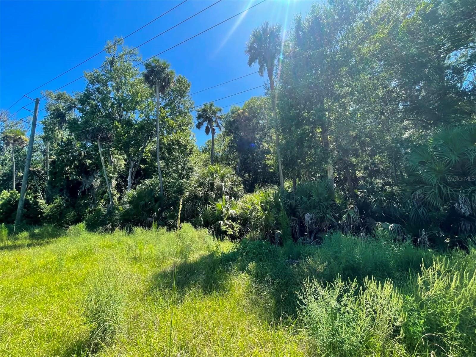 Old Mission Rd Property Photo 2
