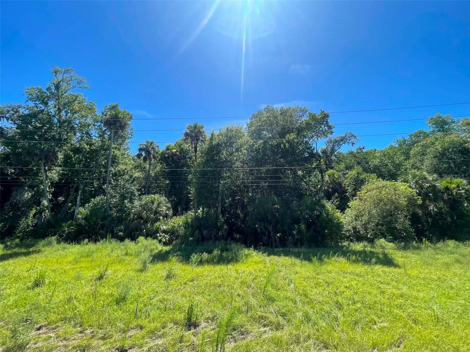Old Mission Rd Property Photo 4