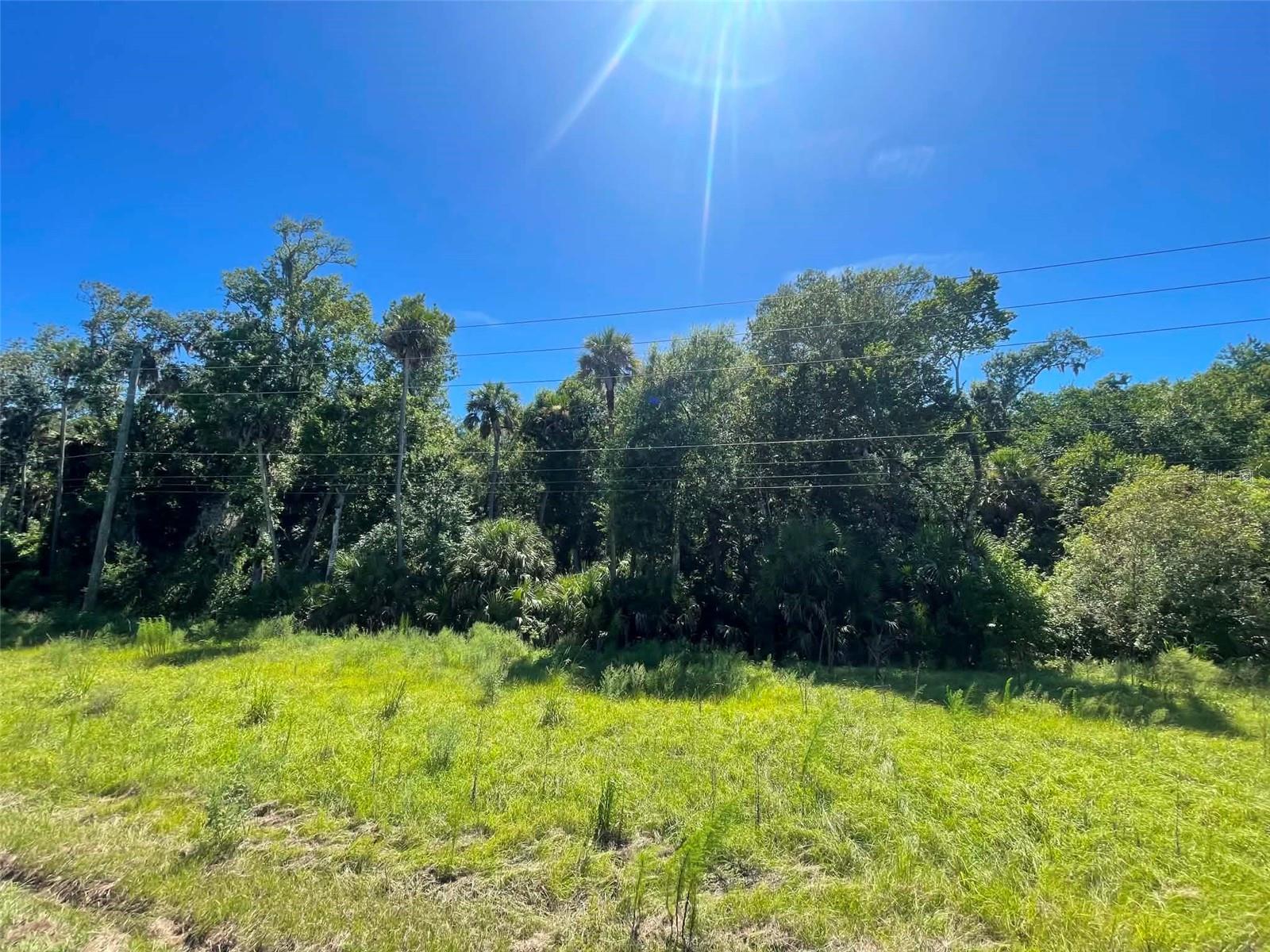 Old Mission Rd Property Photo 5