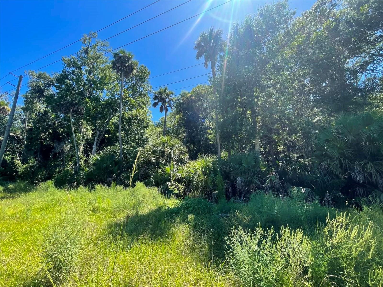 Old Mission Rd Property Photo 7