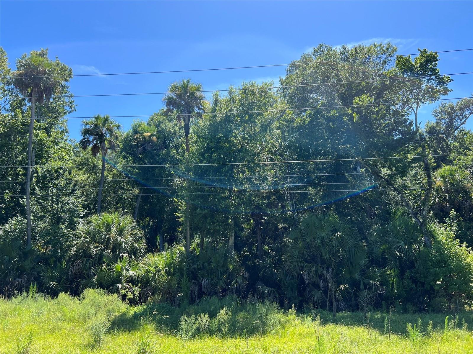 Old Mission Rd Property Photo 8