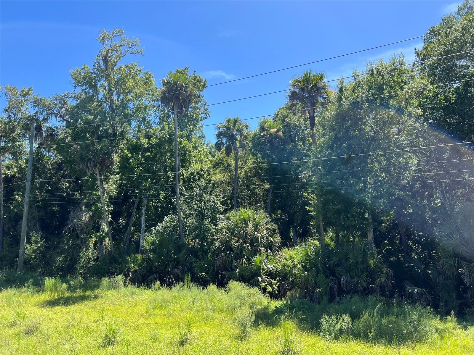 Old Mission Rd Property Photo 9