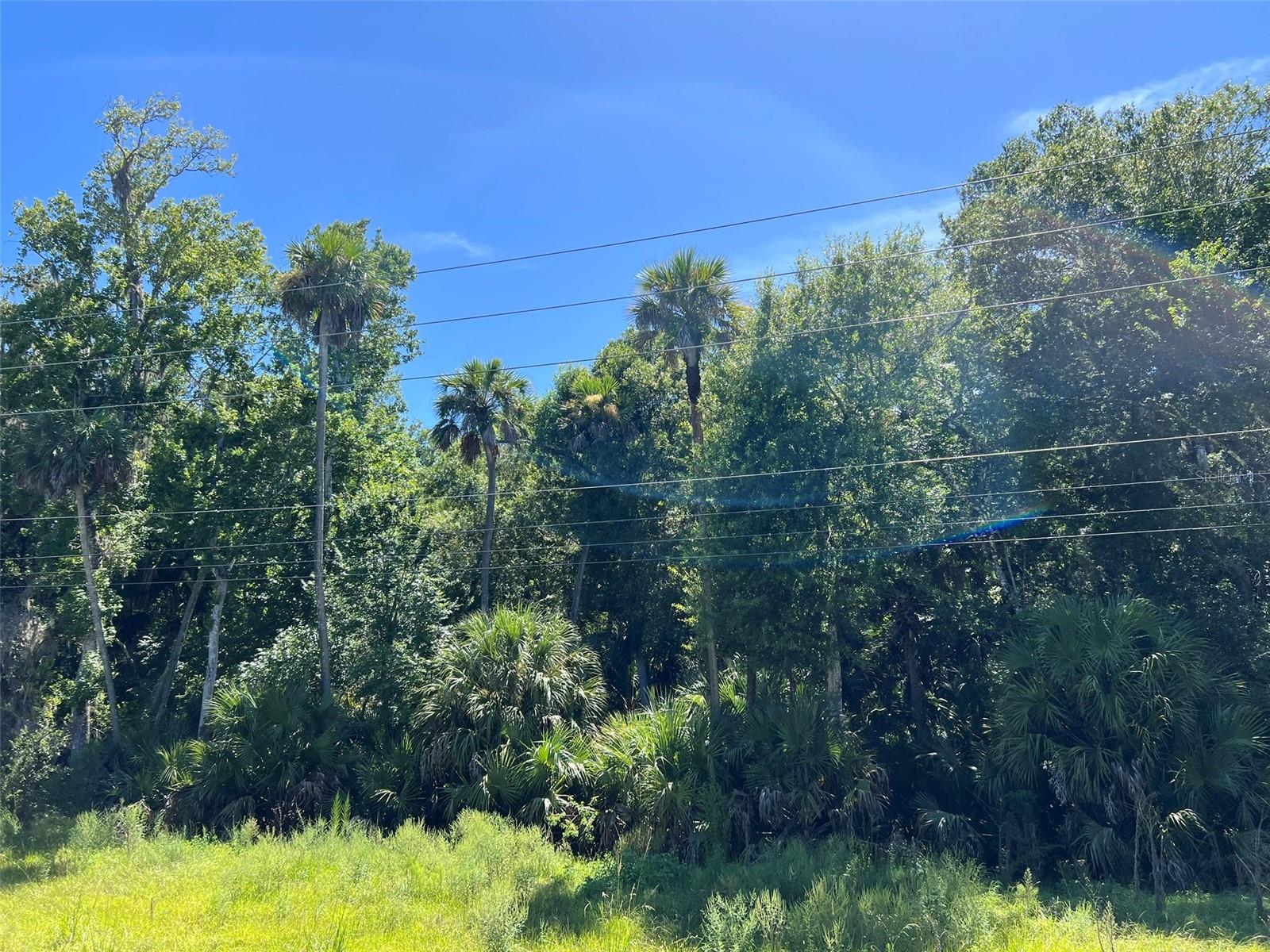 Old Mission Rd Property Photo 10