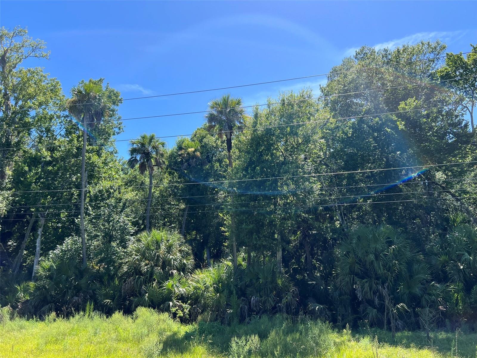 Old Mission Rd Property Photo 11