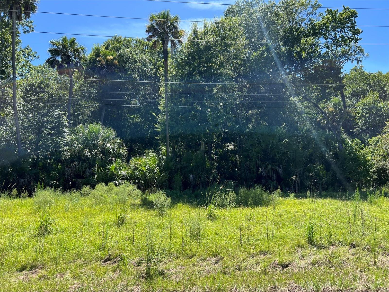 Old Mission Rd Property Photo 13