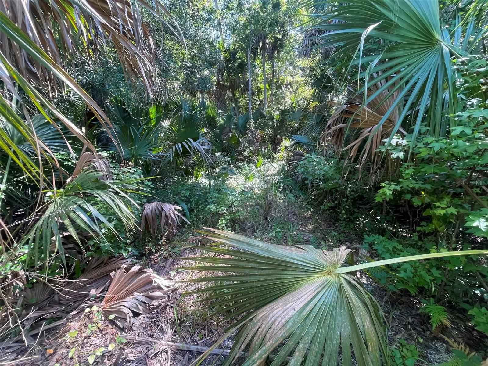 Old Mission Rd Property Photo 15