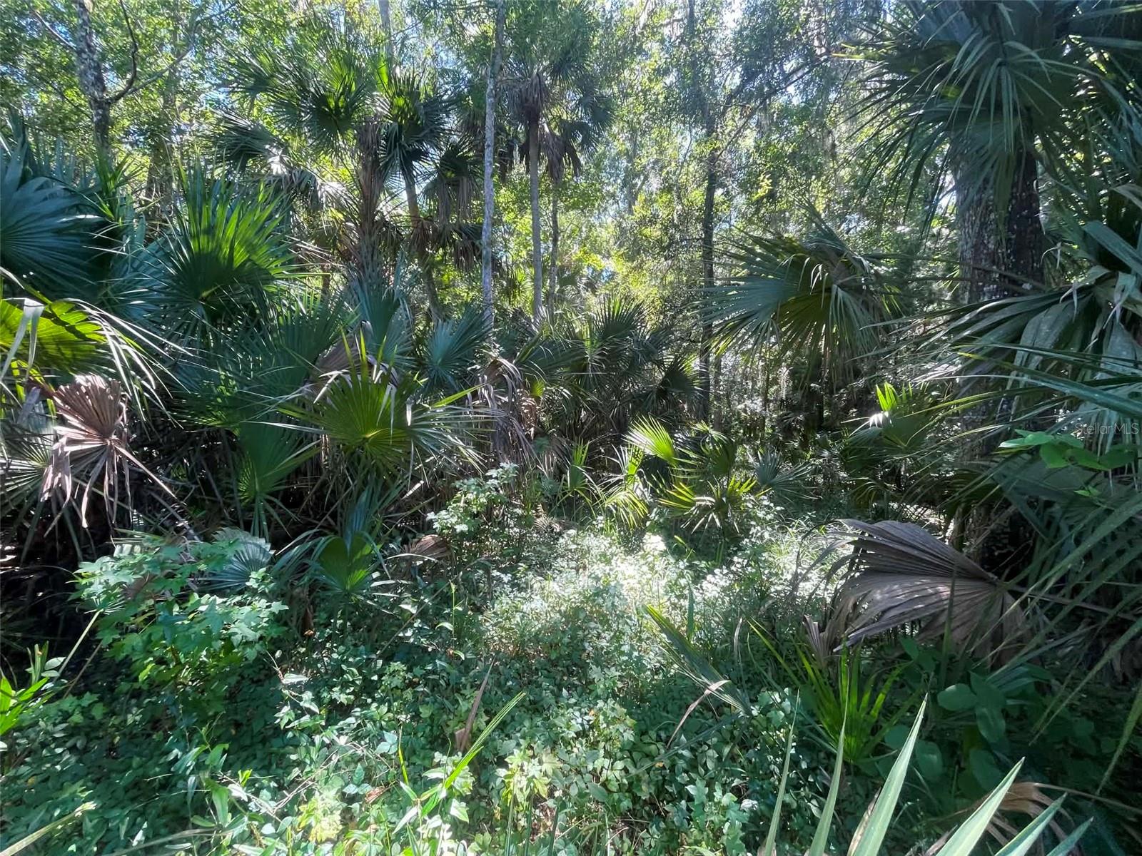 Old Mission Rd Property Photo 16