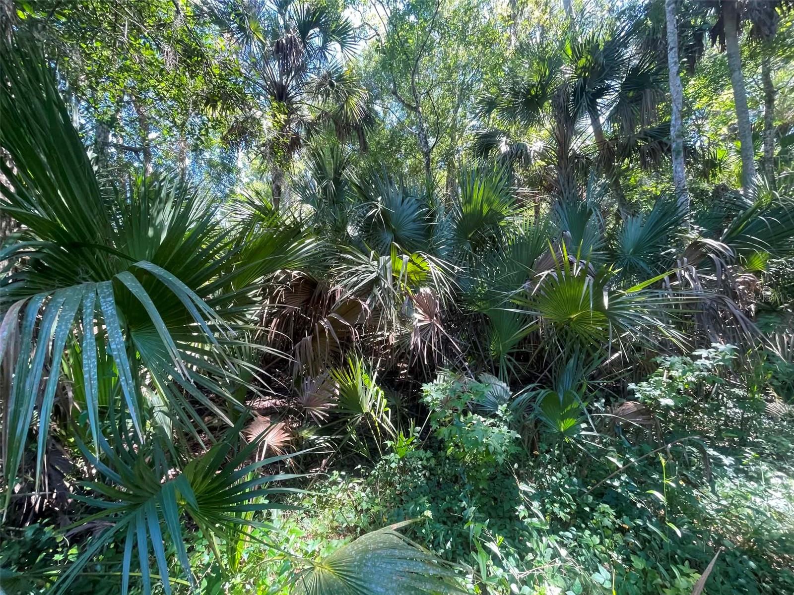 Old Mission Rd Property Photo 17