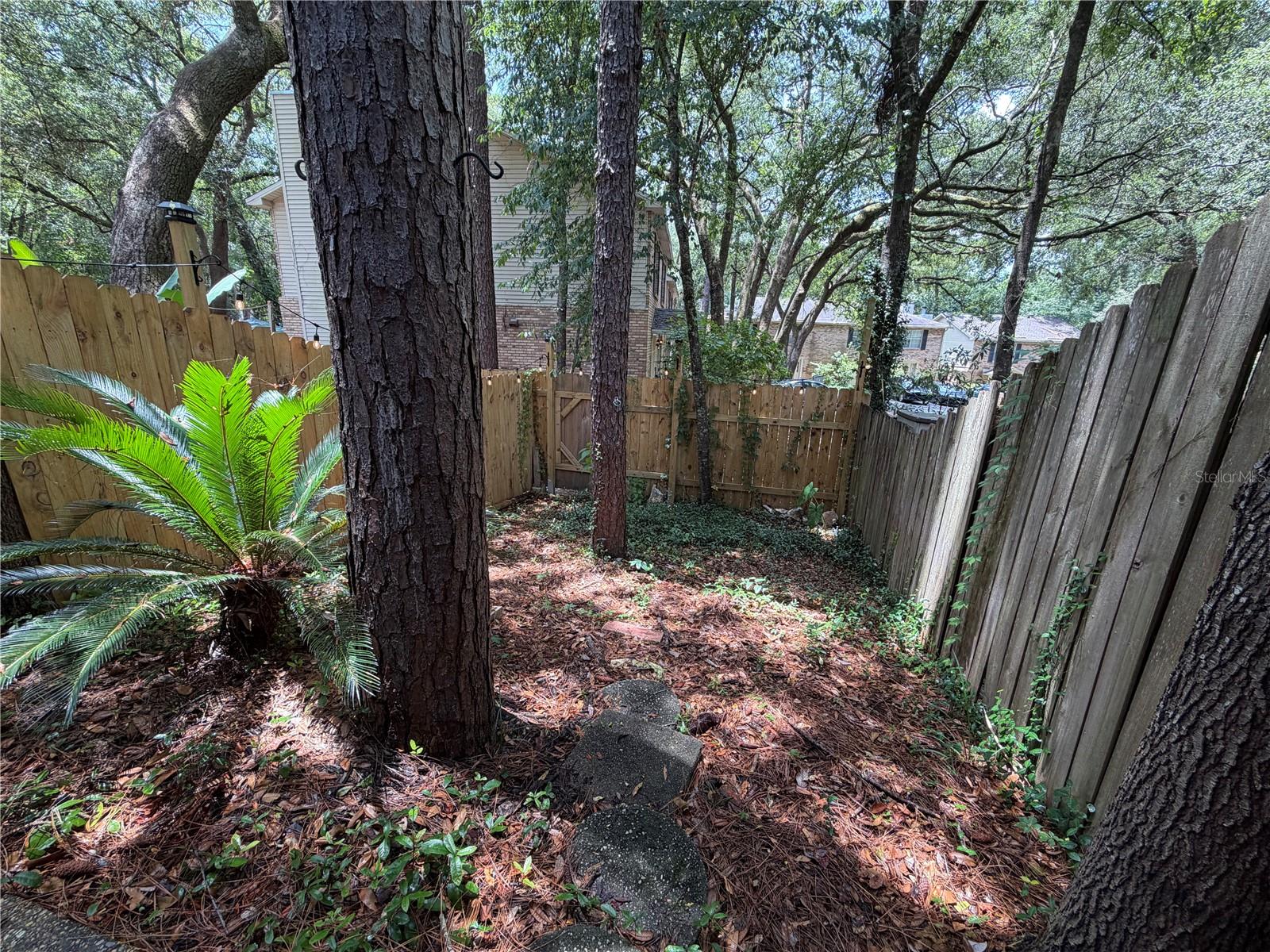 10105 Vixen Pl Property Photo 22