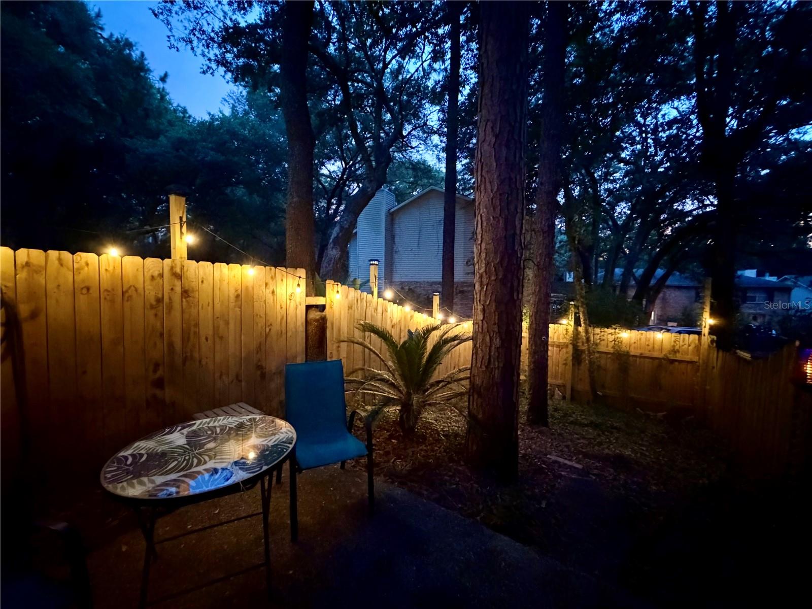 10105 Vixen Pl Property Photo 23