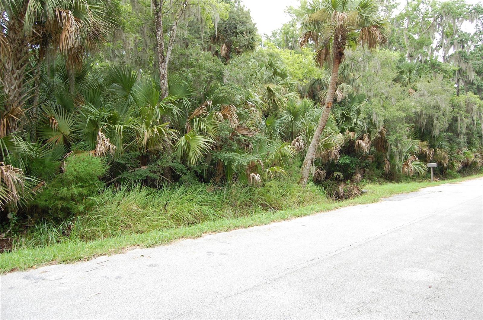 Palm Dr Property Photo 1