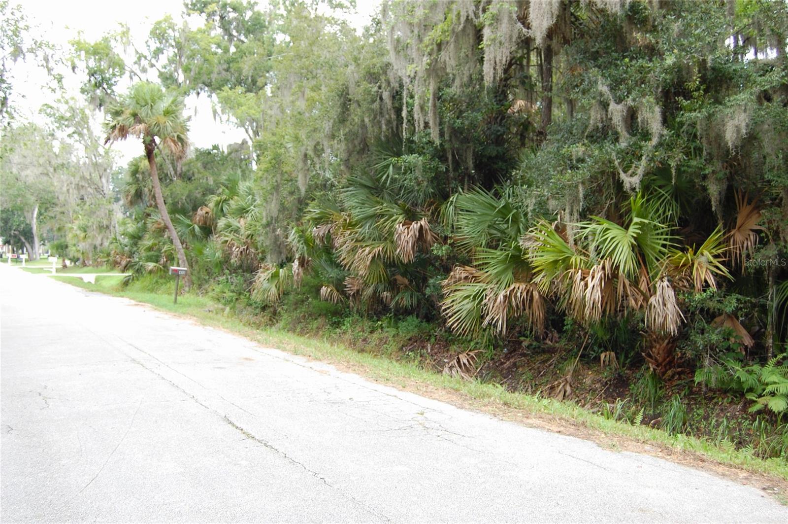 Palm Dr Property Photo 2