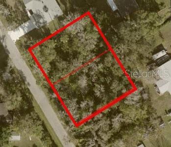 Palm Dr Property Photo 3