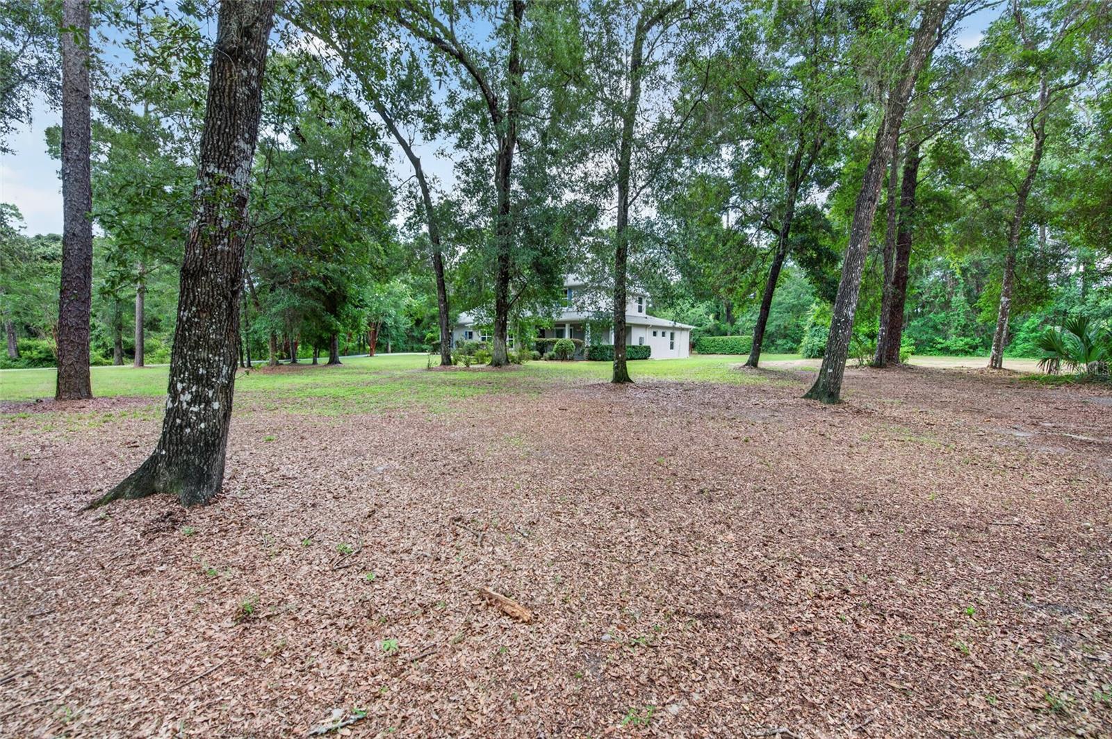 1515 Rambling Oaks Ln Property Photo 44