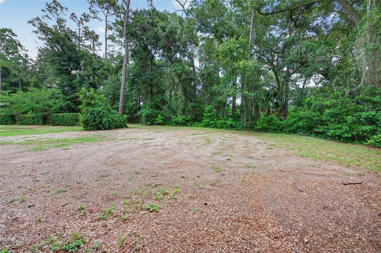1515 Rambling Oaks Ln Property Photo 45
