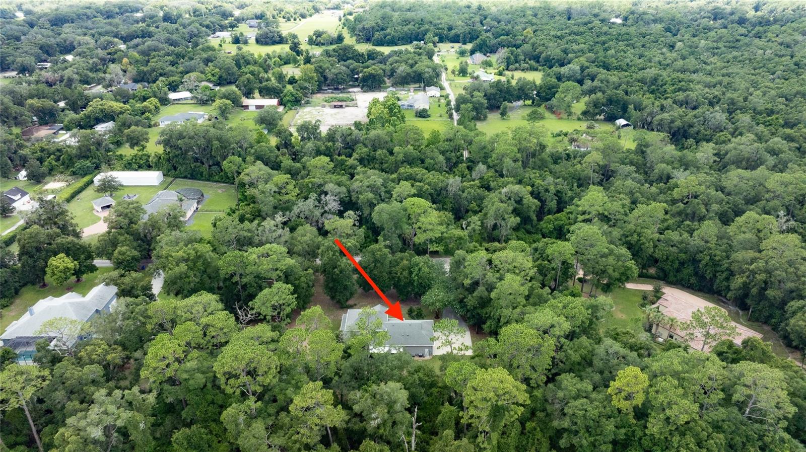 1515 Rambling Oaks Ln Property Photo 57