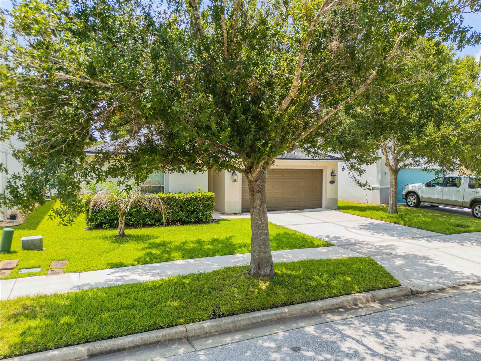 550 Aeolian Dr Property Photo 4