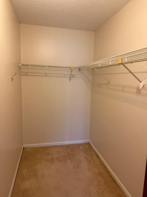 3048 Unity Tree Dr Property Photo 11