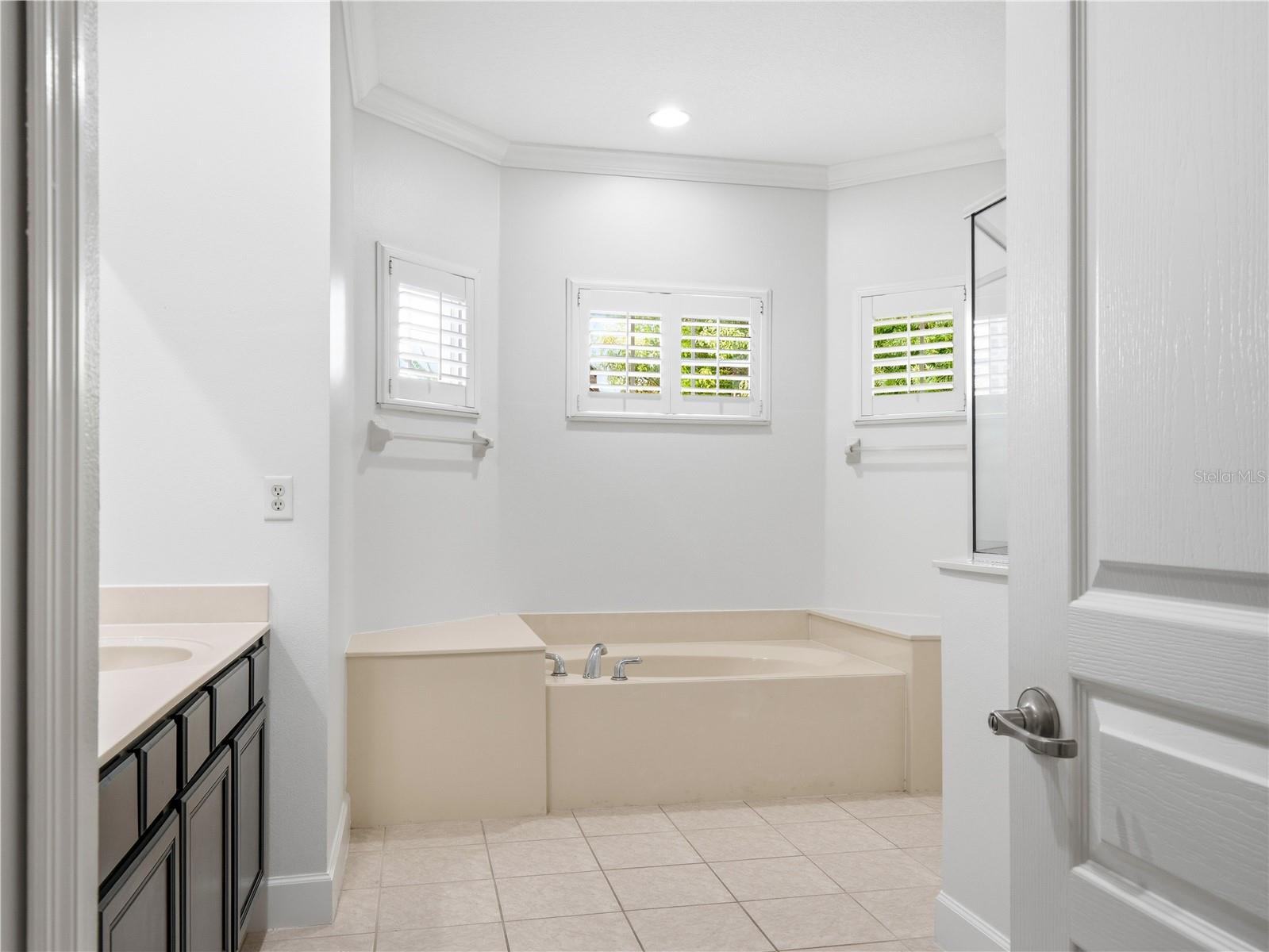 477 Luna Bella Ln Property Photo 37