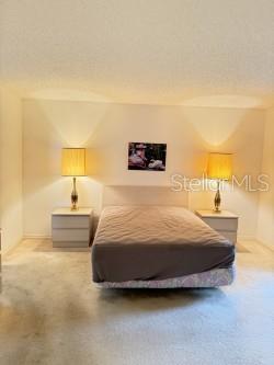 2825 Tamarind Dr Property Photo 13