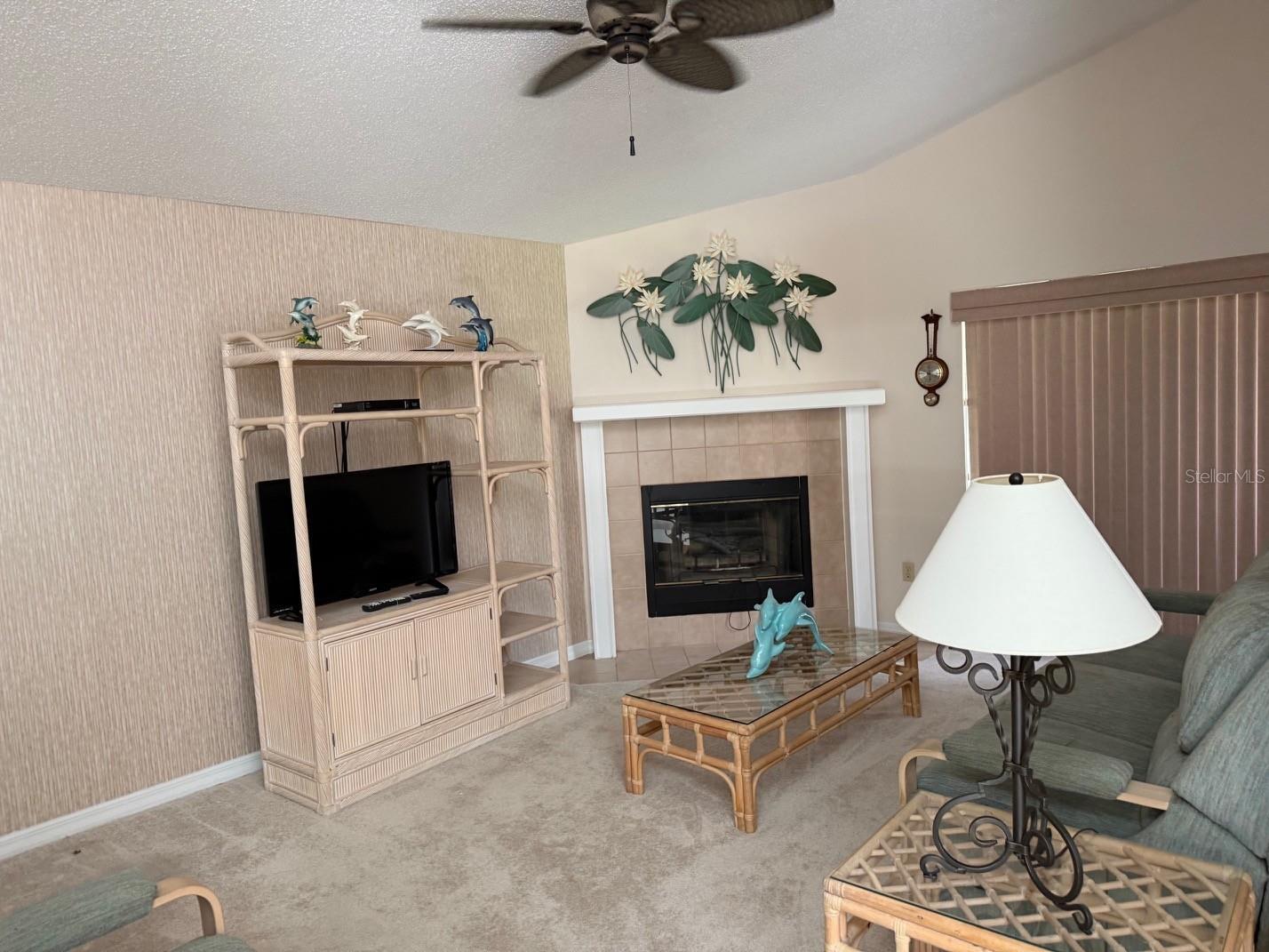 540 Cedaredge Dr Property Photo 4