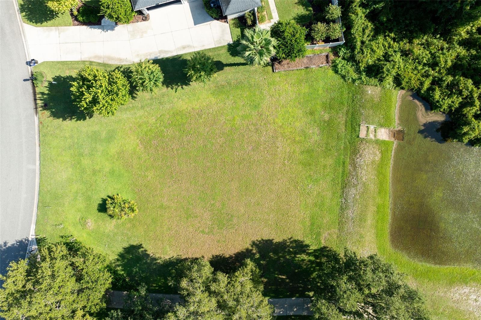 441 Sweet Bay Ave Property Photo 4