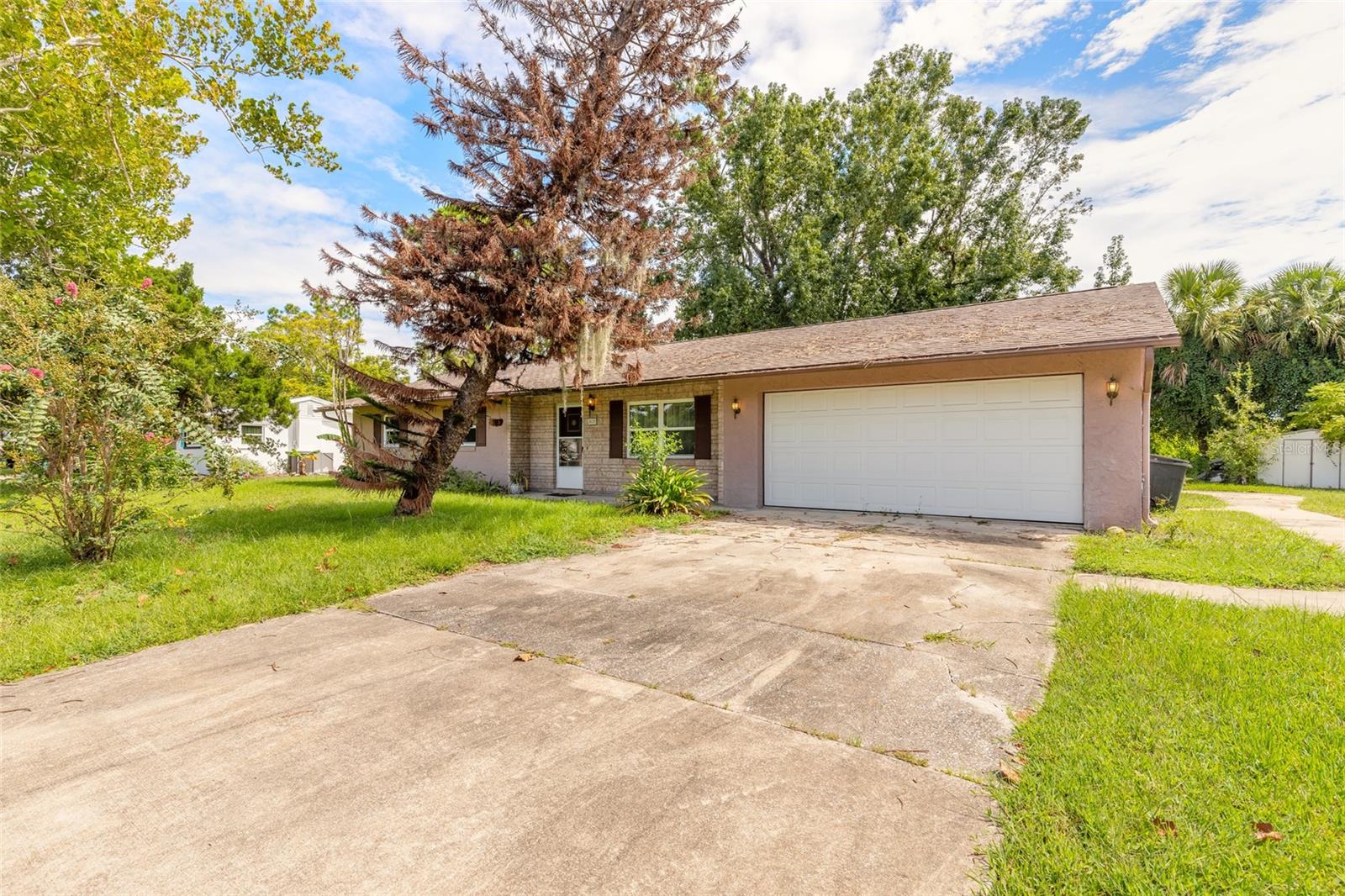 2629 Umbrella Tree Dr Property Photo 3