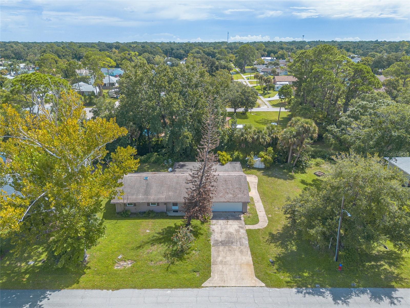 2629 Umbrella Tree Dr Property Photo 29