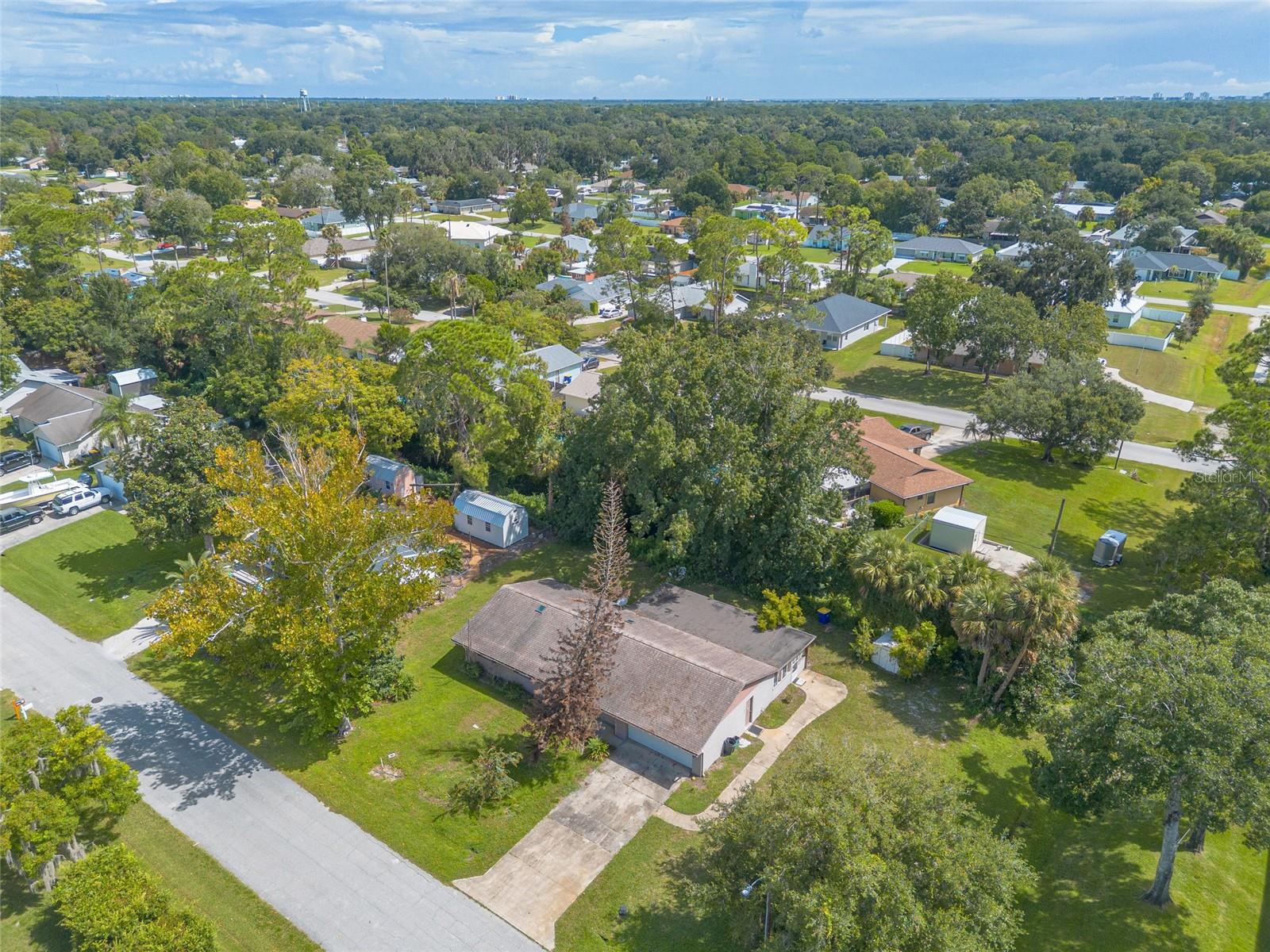 2629 Umbrella Tree Dr Property Photo 30