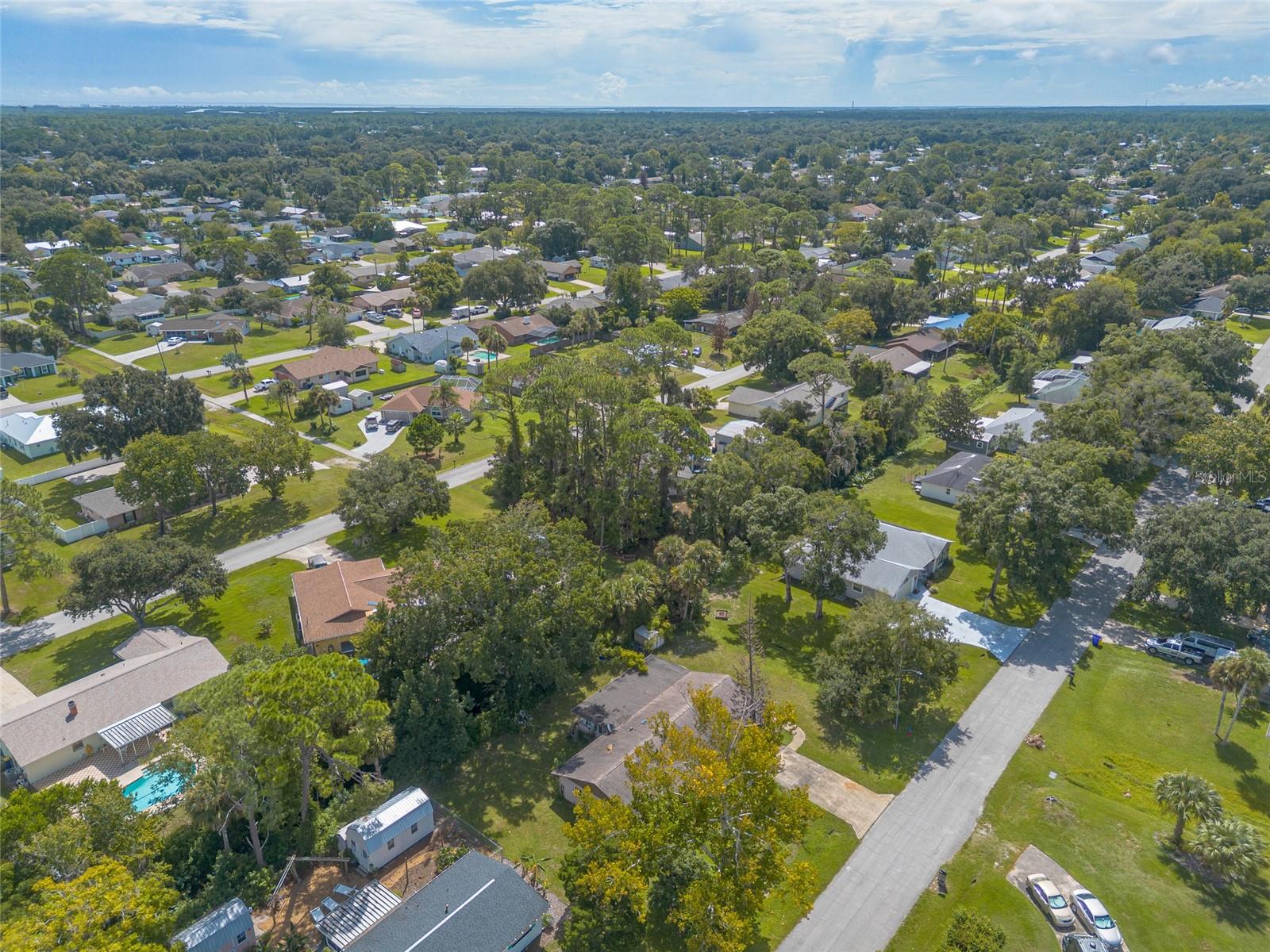 2629 Umbrella Tree Dr Property Photo 36