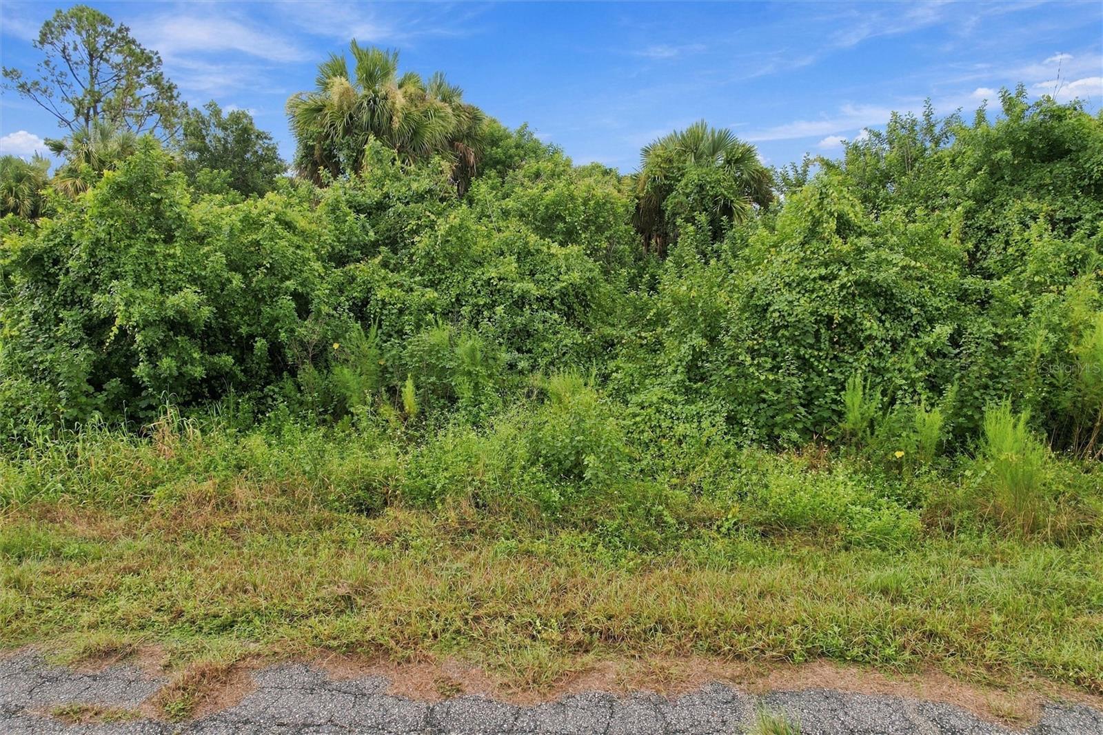 Kamain Rd Property Photo 1
