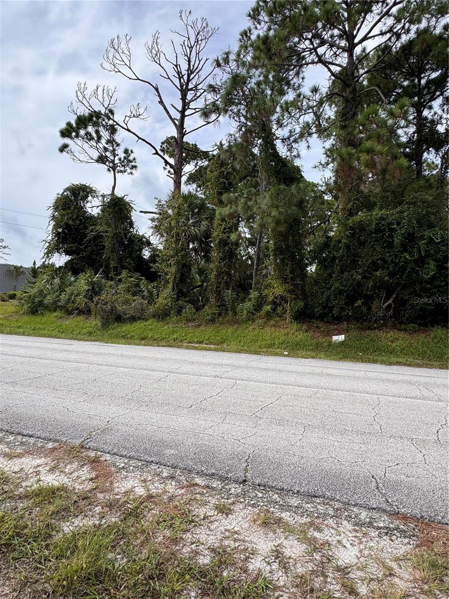 2330 Hibiscus Dr Property Photo