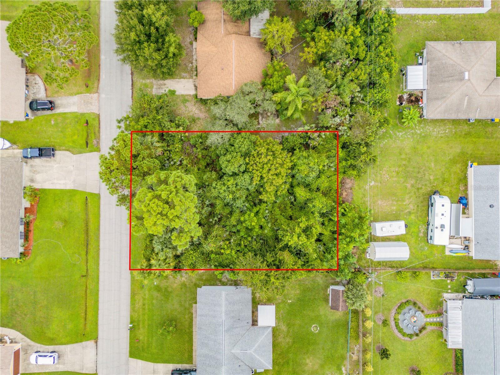 Umbrella Tree Dr Property Photo 1