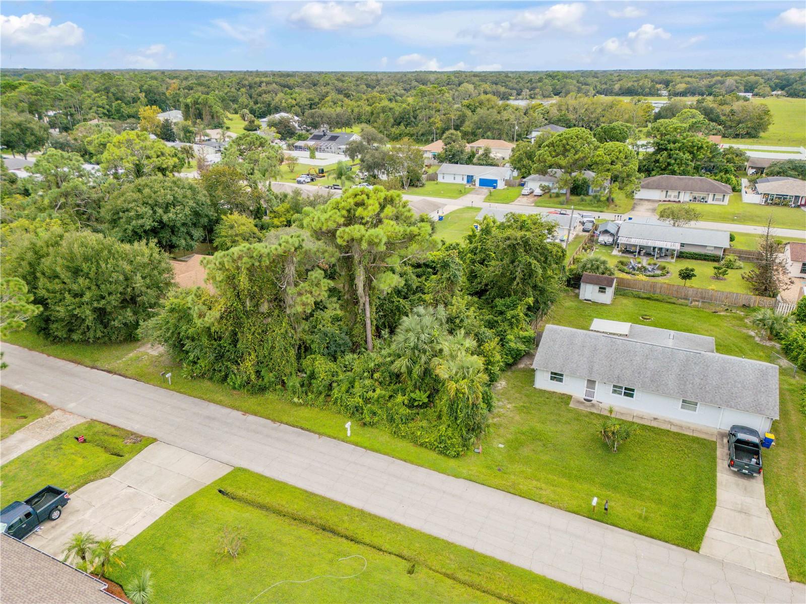Umbrella Tree Dr Property Photo 2