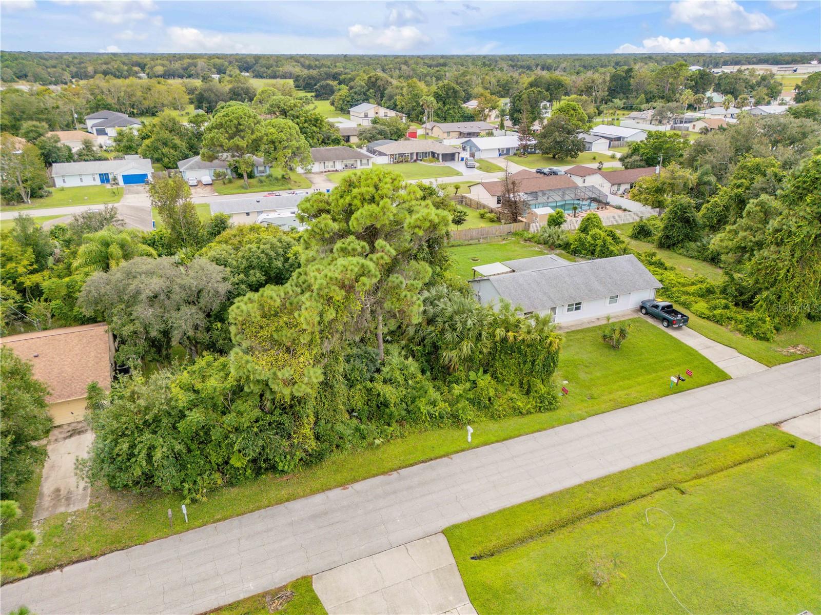 Umbrella Tree Dr Property Photo 3