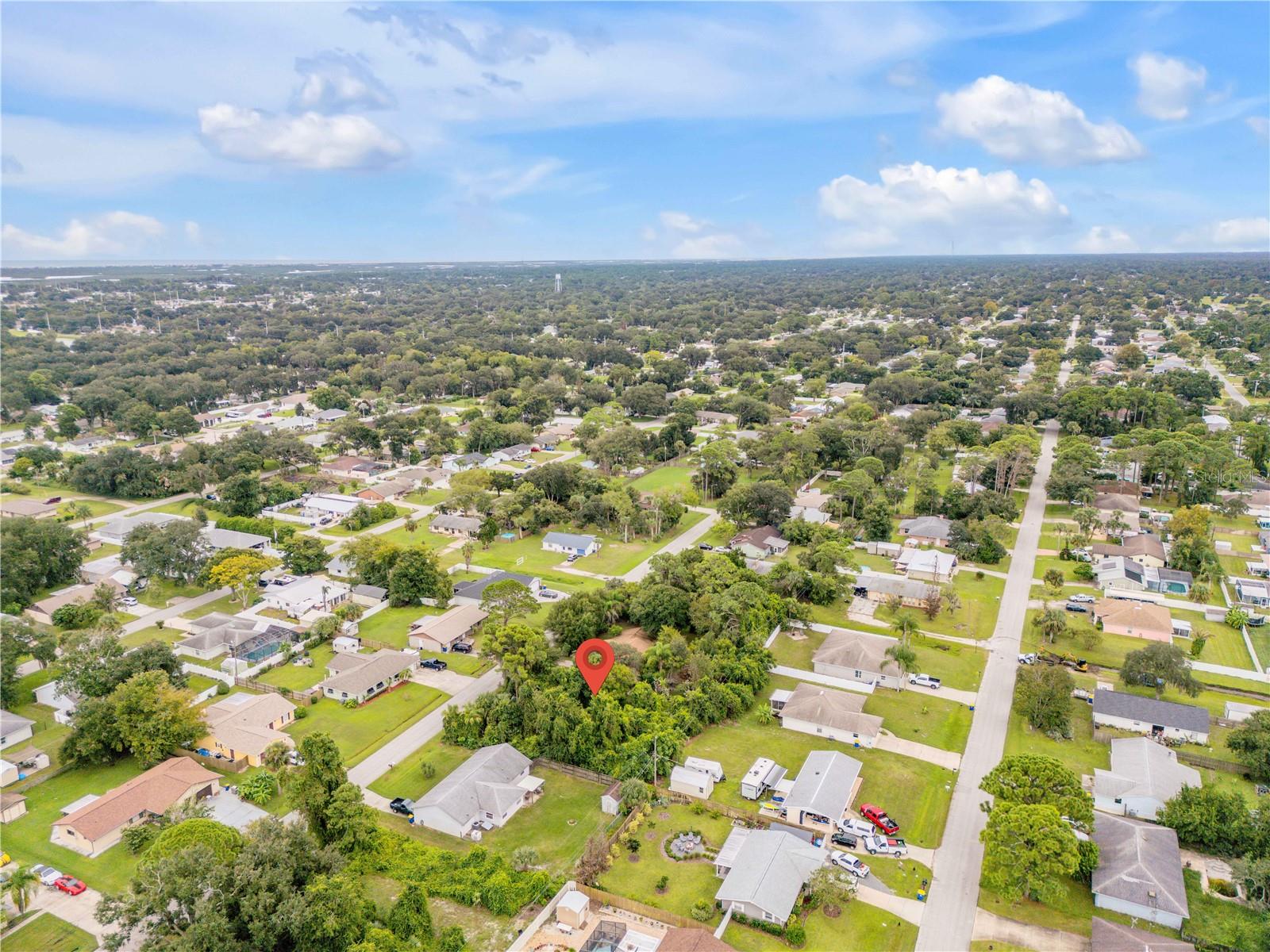 Umbrella Tree Dr Property Photo 5