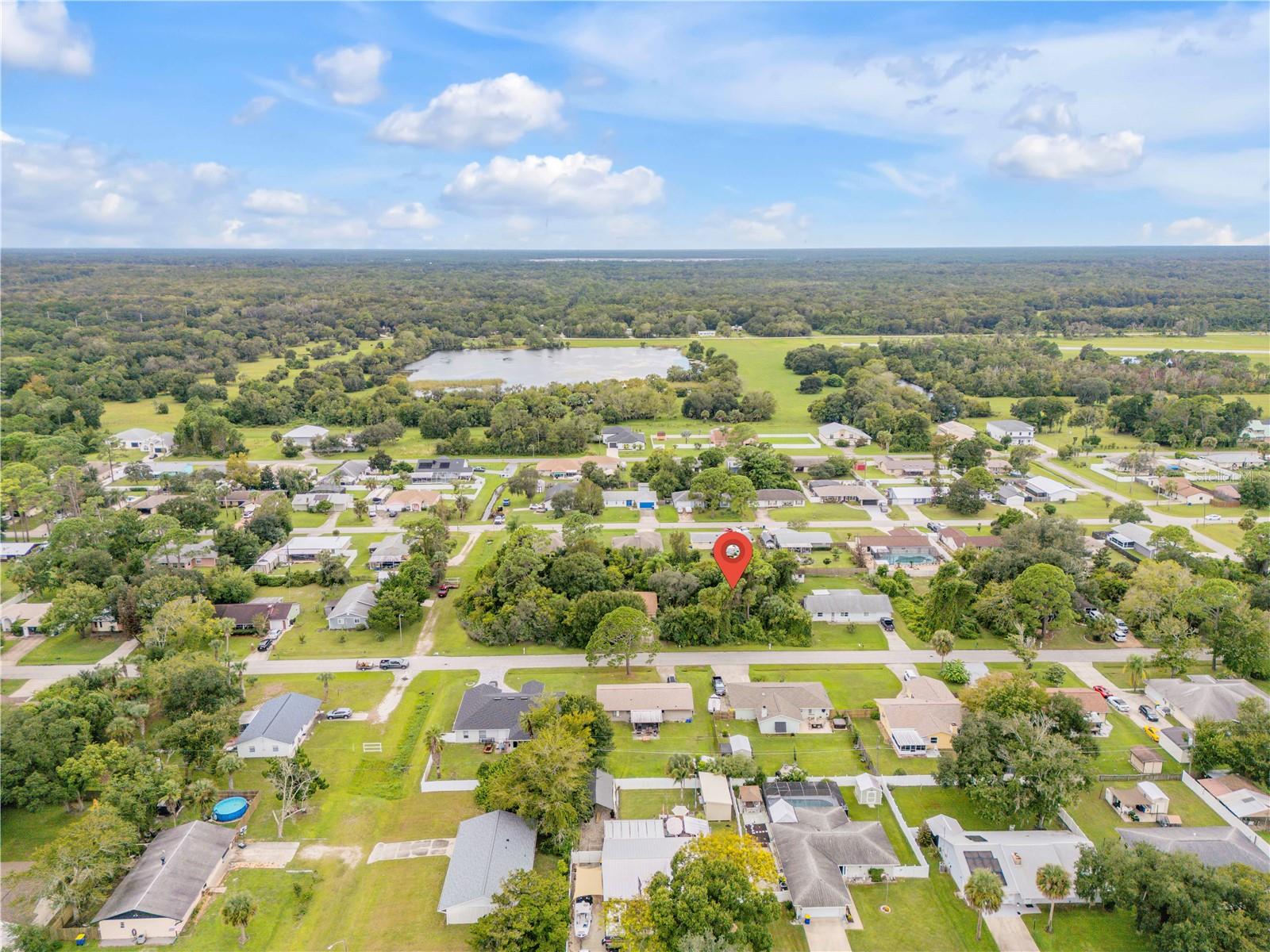Umbrella Tree Dr Property Photo 8