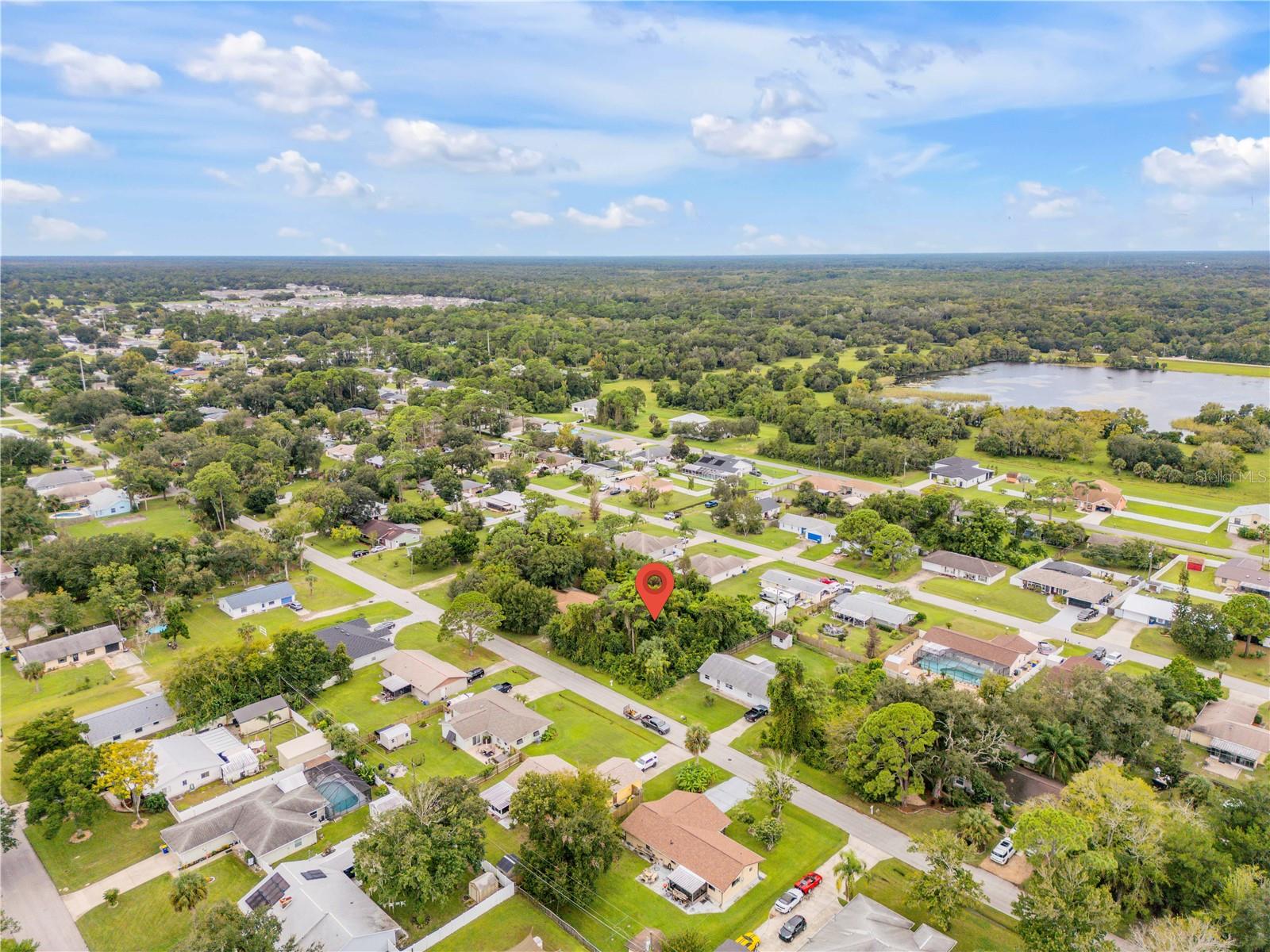 Umbrella Tree Dr Property Photo 10